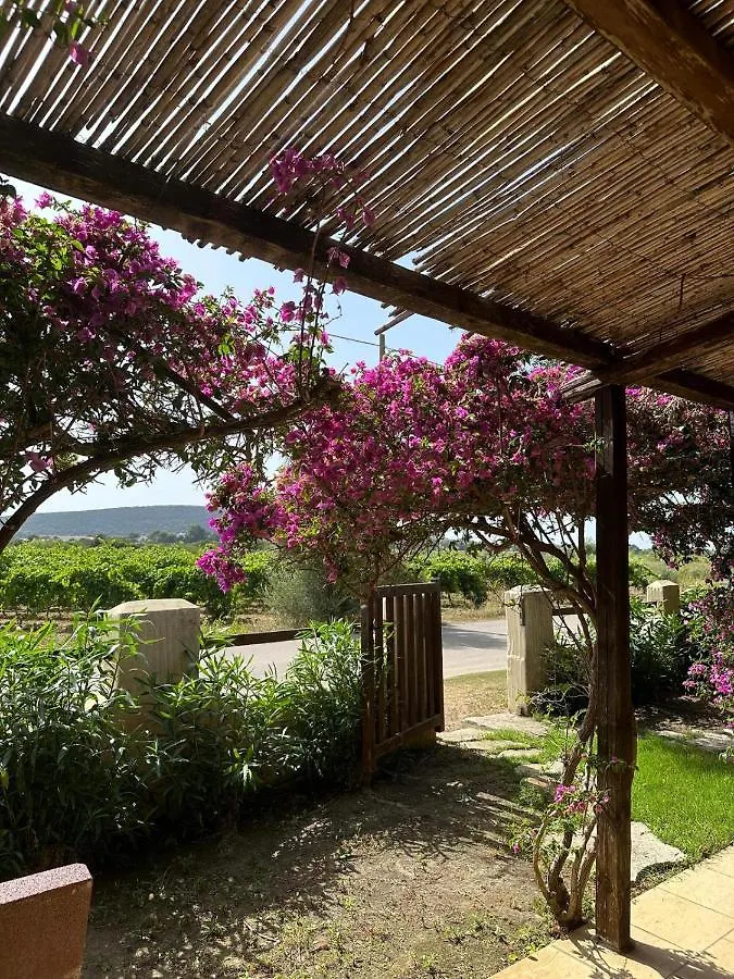 Villa Juniperus Porto Pino SantʼAnna Arresi